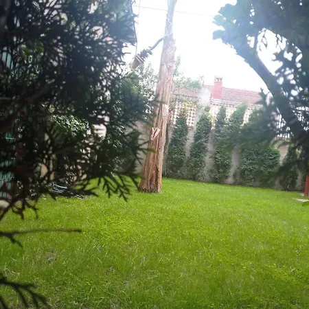Hrkalovic * Arandjelovac
