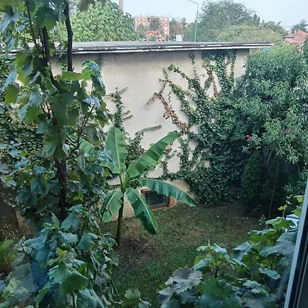 Hrkalovic 아란젤로바츠